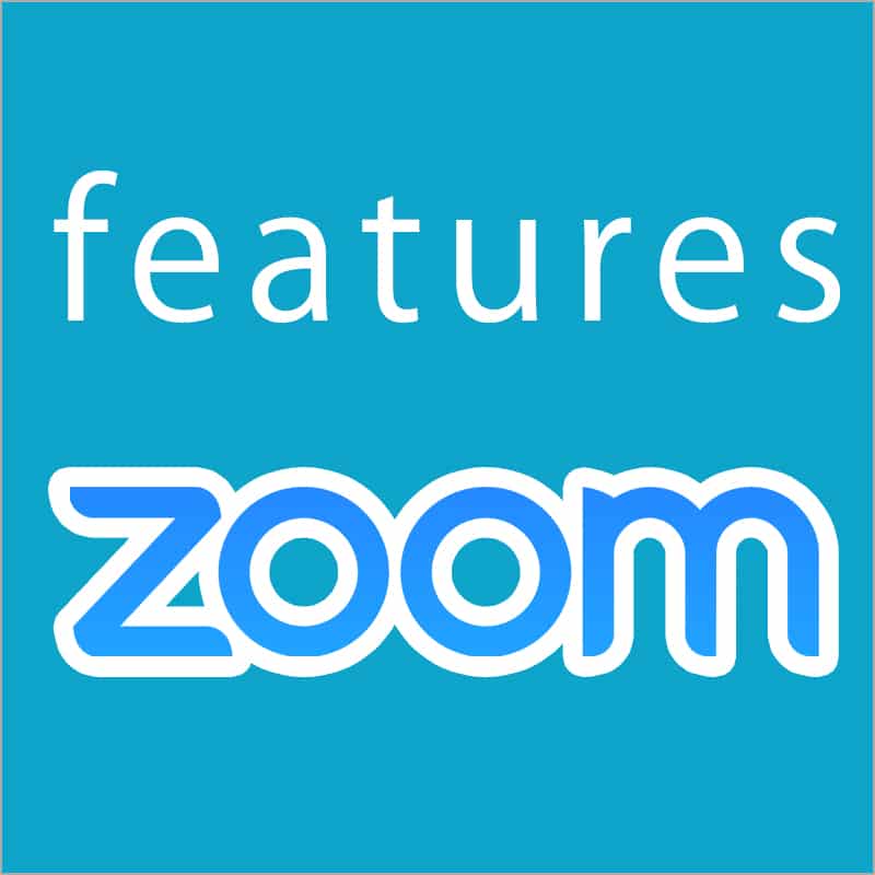 zoomin'  ZOOM  レコード